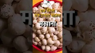 Madhubani | Bihar Districts in one Minute #biharspecial #bpsccurrentaffairs2024 #bpscstudyiq #shorts
