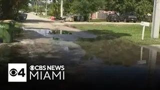 Some South Florida neighborhoods fed up with flooding