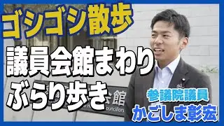 ゴシゴシ散歩 国会議員会館まわりをぶらり散歩