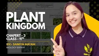 BRYOPHYTES  | PLANT KINGDOM | CHAPTER - 3 | CLASS 11