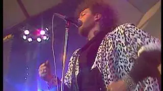 Tino Casal-Tigre Bengali