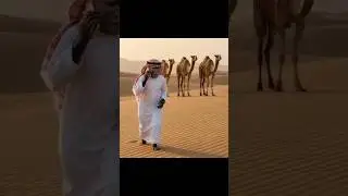 funny video Ai #monkey #short #viral Ai video#comedy #fyp