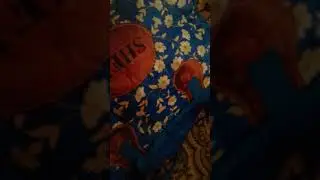 20 января 2018 г.