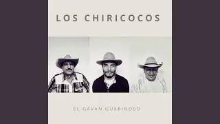 El Gav&aacute;n Guabinoso