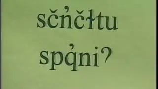 Salish Language #90