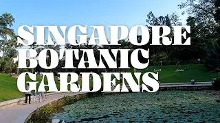 Singapore Botanic Gardens | UNESCO World Heritage Site | Symphony Lake | Casa Verde | TATTLETRAIL