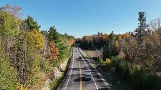 Autumn Road Trip Vibes: 🍁 Drone Flying Over Fall Foliage (Red & Yellow Leaves) | 4K Nature