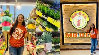 DIY Store Lucknow | D.I.Y shopping | Price starts at Rs.29 | Mr. DIY store tour | HAUL Mr. DIY Store