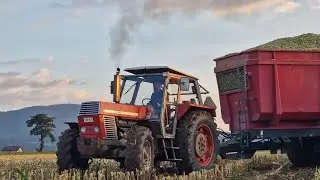 The Zetor Crystal Show