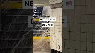 New York Metro 🇺🇸 vs Dubai Metro 🇦🇪 &mdash; which one do you prefer and why?