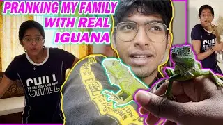 REAL IGUANA PRANK ON MY FAMILY || SNEHA GOT SCARED || BIG GREEN LIZARD PRANK || Just Banana