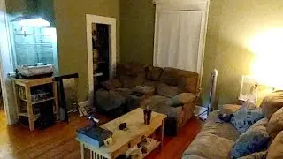 A Look around My House