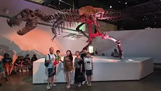 Houston Museum - Viện Bảo T&agrave;ng 2025