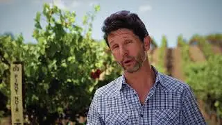 Obsidian Wine Co.: Our Story