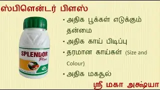 Splendor Plus I Excellent Results I Bio-stimulant I Farmer's Review I Sri Maha Akshya