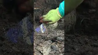 #shorts Un-earthing A 18th Century Ginger Jar? | Trashy-Treasure