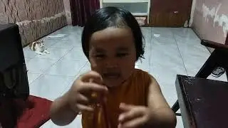Mancing kucing