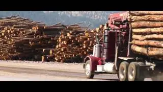 What Factors in a Truck Accident are Relevant to an Investigation? | Spring Hill Injury Lawyer