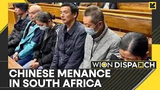 S. Africa: Chinese Nationals Jailed For Trafficking | 7 Chinese Nationals Jailed | WION DISPATCH
