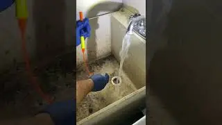 Clearing A Clogged Laundry Wash Tub That Overflowed #shorts