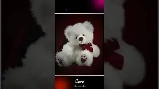 Teddy Day Romantic staus for your love🥰🧸🌹
