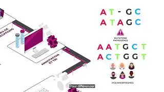Qu'est-ce que la plateforme bio-informatique de l'Institut Imagine ?