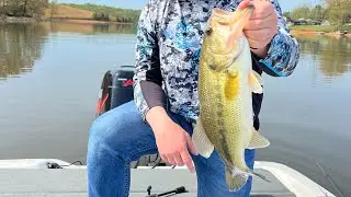 Weedless Drop Shot
