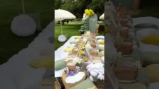 summer and picnic 👌🏼💛#birthday #event #party #wedding #viral #decor #youtubeshorts #foryou #diy #fyp
