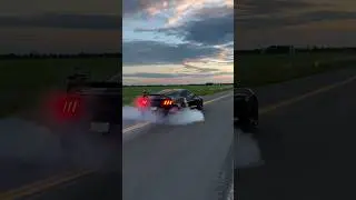 Shelby GT350 Burnout! 🐍