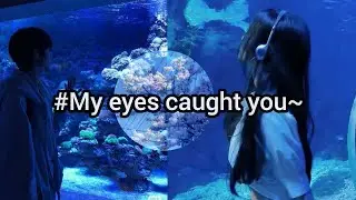 Story-My eyes caught you//part-3 