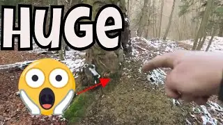 Porcupine Tree Filled With POOP! (CRAZY)