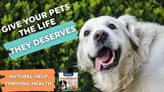 Primova Pet Products - Taste and Science manufactured right here in the heartland of America