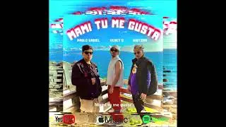 MAMI TU ME GUSTA - Pablo Gadiel X Venet G X NAITZAV (VIDEO LYRICS)