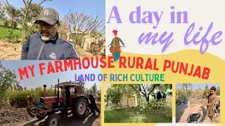 My Farmhouse in Rural Punjab (Part 1) | Fields, Farmers & Desi Daig Pulao&rdquo;