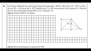 Test de antrenament nr 1 EN ISJ Brăila - Şcoala Fănuş Neagu - Subiectul III