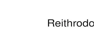 How to pronounce Reithrodontomys