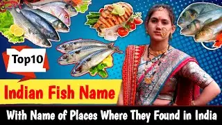 Top 10 Indian Fish Names List 🐟 | Freshwater & Sea Fish in India | Healthy & Tasty Fish in India