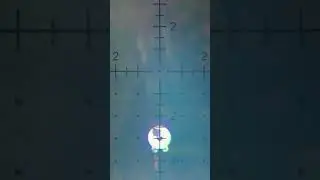 100м гонг 10см h&n 1,75gr 283 m/s
