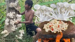 Decko streams, chapter:  Primitive Foodie KH #040 Find wild mushroom and cooking on the rock and eat
