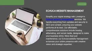 Professional Ecommerce Web Design Services