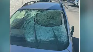 Drivers can be fined for snow, ice on car roof