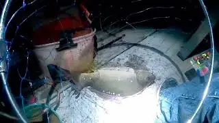 ЛОВЛЯ КАРПА НОЧЬЮ