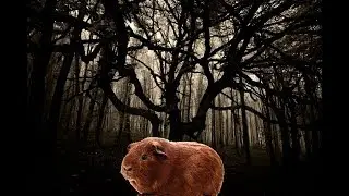 Cry of Fear | There is only crying | LIVE STREAM