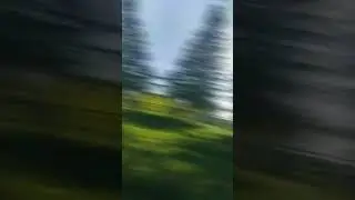 Норм #short #shorts #edit #edits #cat #cats #catshorts #catsshort #catshort #catshorts #catvideo