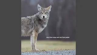 Just a Flash Before Your Eyes