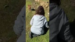 She Just Wanted to Check the Calf&hellip; Then THIS Happened 😳❤️