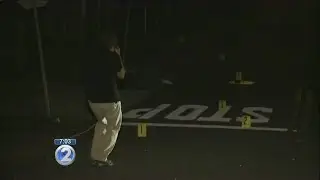 fight Police investigate huge brawl in the Punchbowl area