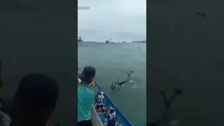 WATCH 🚨 Tsunami off coast Ecuador  for more footages