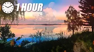 S E R E N E ~ a soft & soothing piano mix (1 hour)