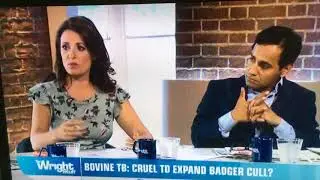 The Wright Stuff discuss the badger cull part 1 -15/9